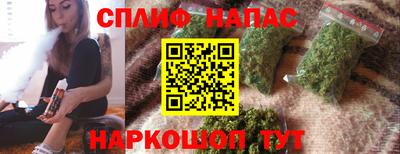 гидра Славянск-на-Кубани