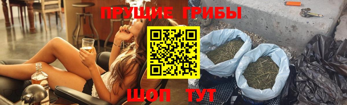 Прохладный  Галлюциногенные грибы Psilocybe  Вход с VPN 